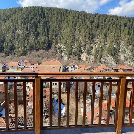 Deluxe Mian * Beli Iskar